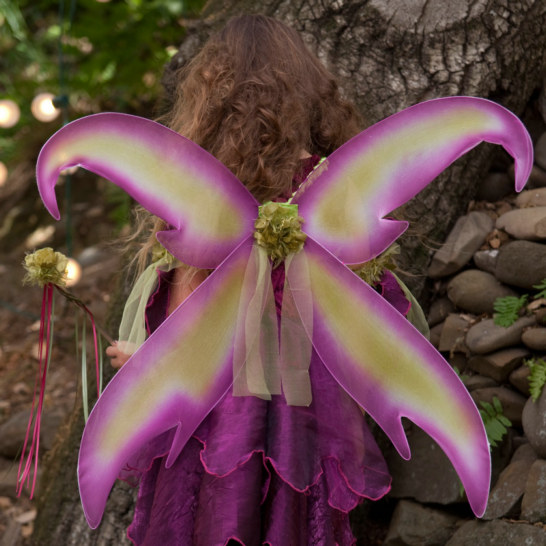 Sugar Plum Fairy Child Wings